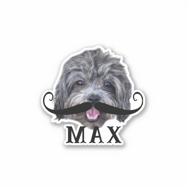 Pegatina Cargar su Mascota Face Photo & Name Silly Mustache (Anverso)