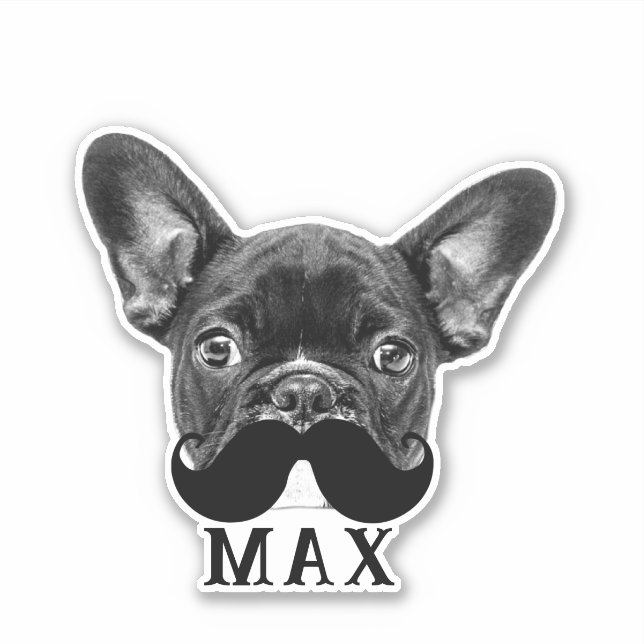 Pegatina Cargar tu Mascota Face Photo & Name Fun Mustache (Anverso)