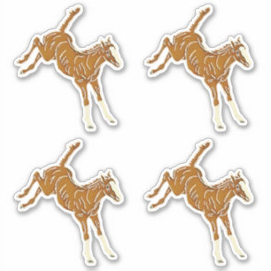 Pegatina Carne de caballo de rana - transparente multicolor