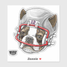 Casco de fútbol del Boston Terrier 12