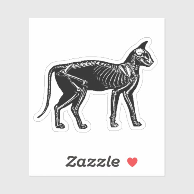 Pegatina Cat Skeleton (Hoja)