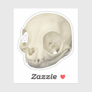 Pegatina Cat Skull