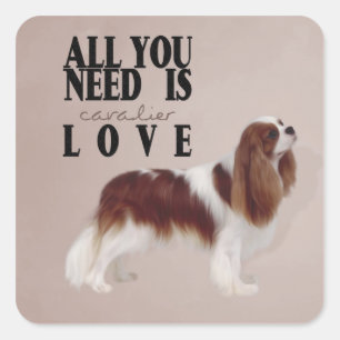 Pegatina Cavalier King Charles Spaniel