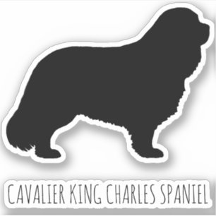 Pegatina Cavalier King Charles Spaniel Dog Silhouette Vinyl