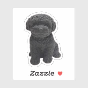 Pegatina Cavapoo Cavoodle Cockerpoo Cuppy perro negro