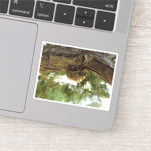 Pegatina Caza de Cicada. Tenía prisa.