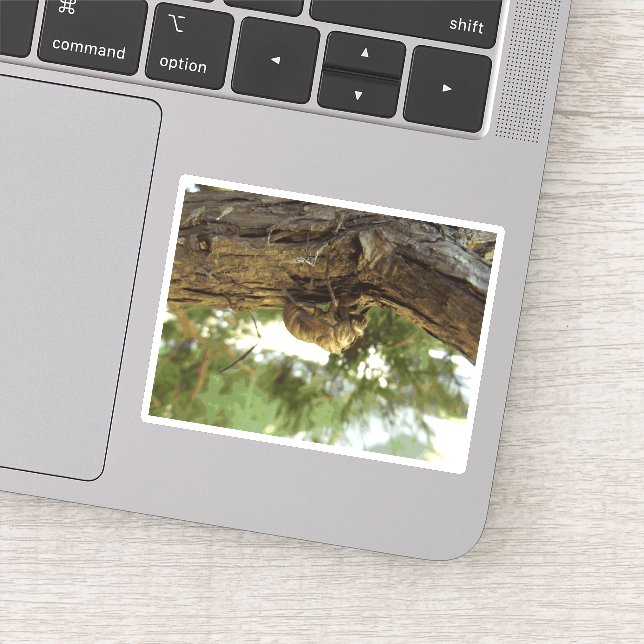 Pegatina Caza de Cicada. Tenía prisa. (Detalle)