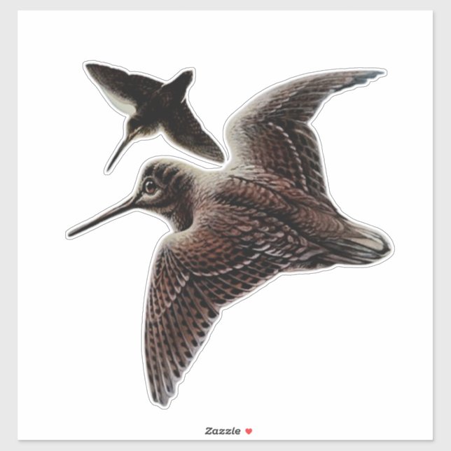 Pegatina Caza de Woodcock (Hoja)