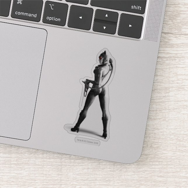 Pegatina Cazadora Con Azote (Detalle)