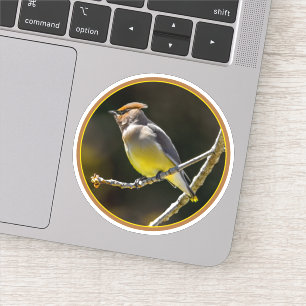 Pegatina Cedar Waxwing Songbird Foto original de ave silves