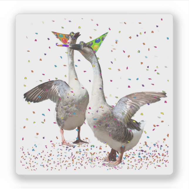 Pegatina Celebrando Gansos (Anverso)
