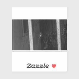 Pegatina Cellar Spider