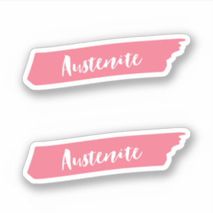 Pegatina Cepillo rosa austenita