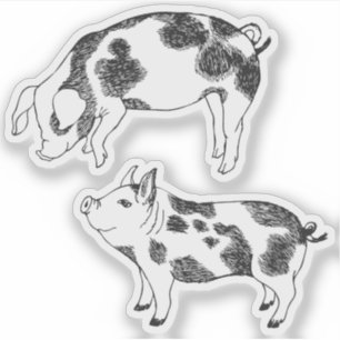 Pegatina Cerdito negro y blanco dibujado a mano con manchas