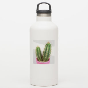 Pegatina Cereus cactus