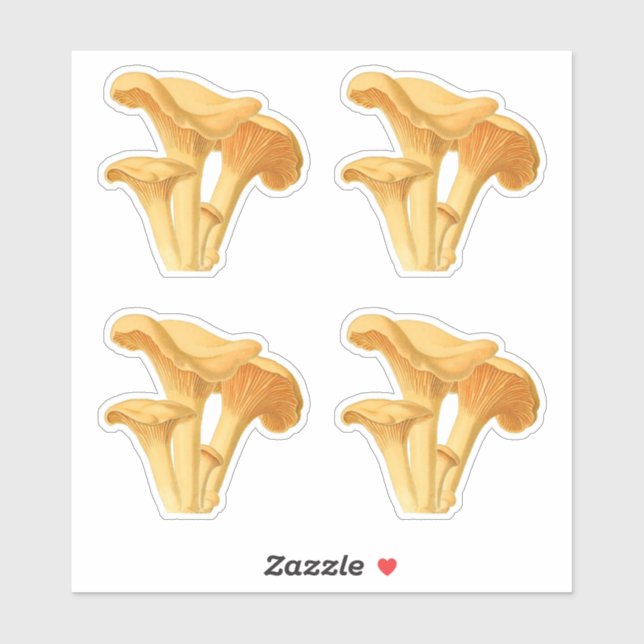 Pegatina Chanterelle Mushroom Vintage Ilustración Botánica (Hoja)