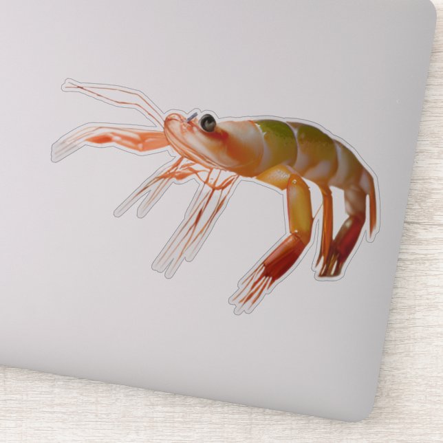 Pegatina Chico pequeño de camarón fuerte (Detalle)