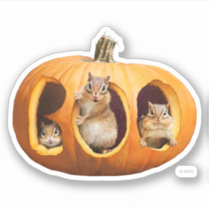 Pegatina Chipmunks dentro de Boo Jack-o Lantern