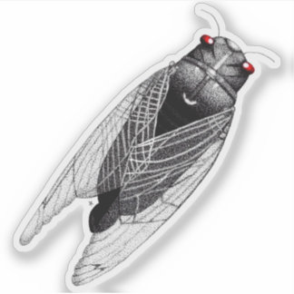 Pegatina Cigarra