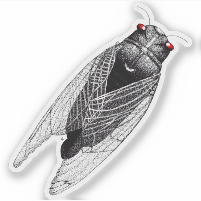 Pegatina Cigarra (Anverso)