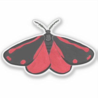 Pegatina Cinnabar Moth