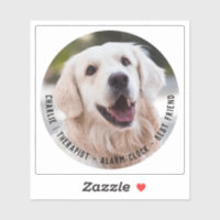 Cita de fotos de nombre de perro sensible malhumor