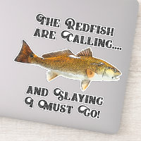 Cita de pesca de engorde divertida