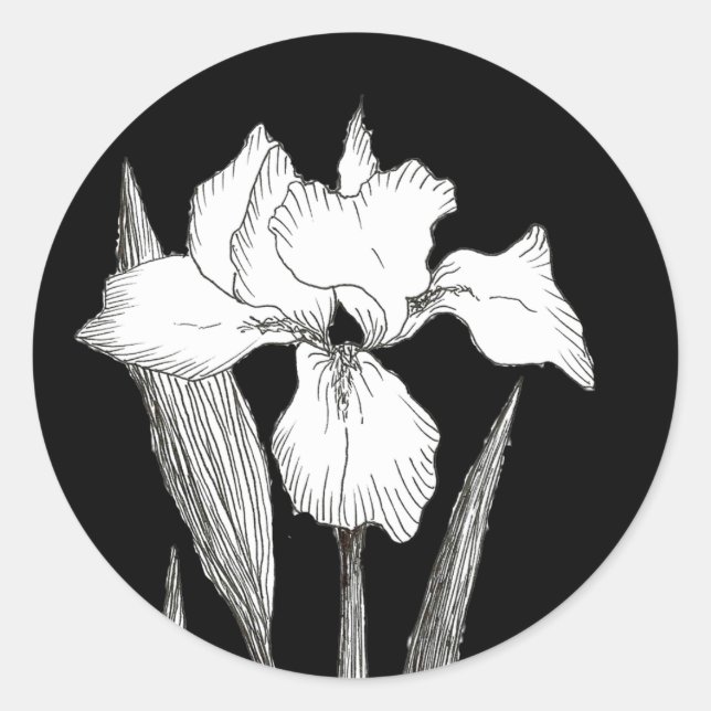 Pegatina clásico de iris negro y blanco (Anverso)