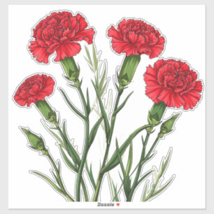 Pegatina Claveles rojos vibrantes con tallos verdes