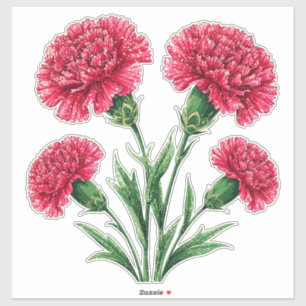 Pegatina Claveles Rosas Vibrantes Con Tallos Verdes