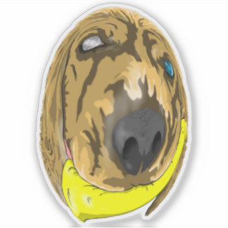 Pegatina Claves y plátano, el coquetón en miniatura 2