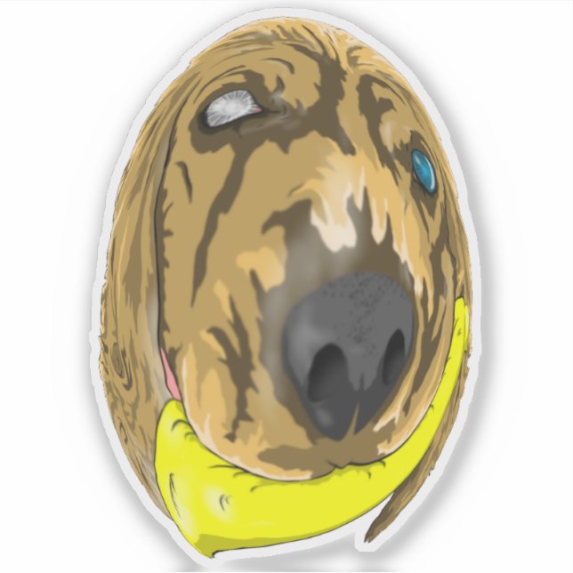 Pegatina Claves y plátano, el coquetón en miniatura 2 (Anverso)