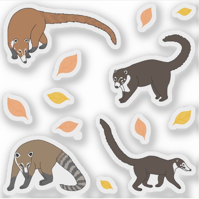 Pegatina Coatis (Anverso)