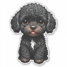 Cockapoo negro