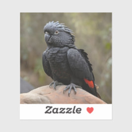 Pegatina Cockatoo negro