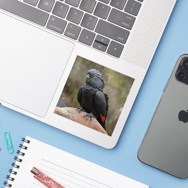 Pegatina Cockatoo negro (Ordenado portátil con iPhone)