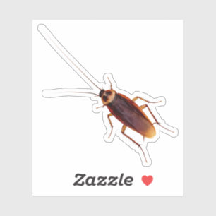Pegatina Cockroach