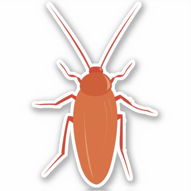 Pegatina Cockroach (Anverso)
