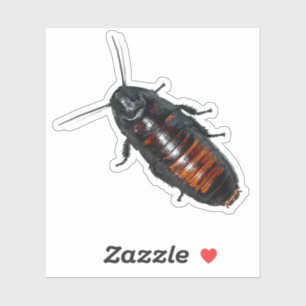 Pegatina Cockroach gigante