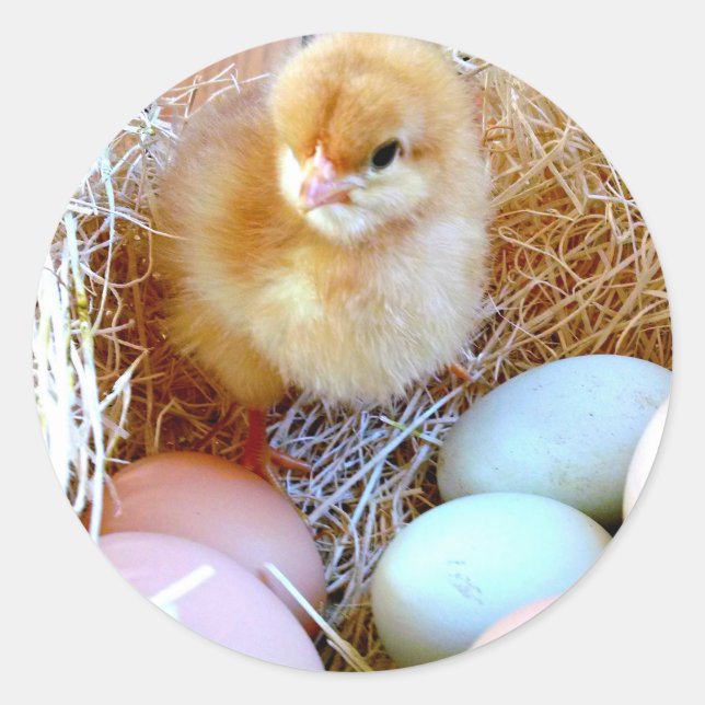 Pegatina coincidente de Pascua (Anverso)