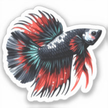 Cola de la Corona Betta Pescado Negro Blanco y Roj