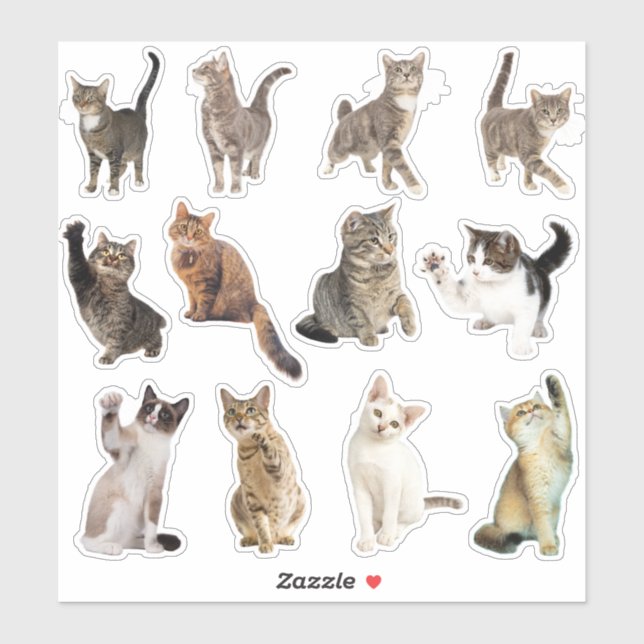 Pegatina Colección de Stickers de Gatos (Hoja)