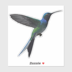 Pegatina Colibrí