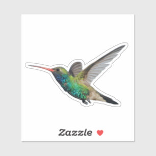 Pegatina Colibrí en vuelo
