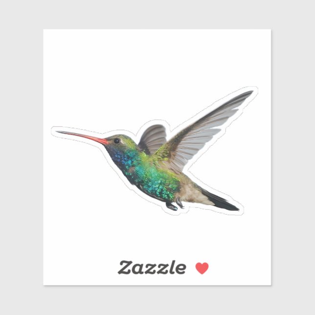 Pegatina Colibrí en vuelo (Hoja)