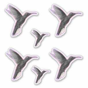 Pegatina Colibrí preciado sobre morado rosado