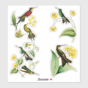 Pegatina Colibríes con plantas tropicales