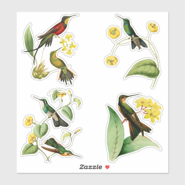 Pegatina Colibríes con plantas tropicales (Hoja)