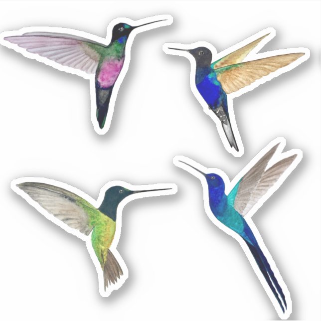 Pegatina Colibríes Tropicales (Anverso)