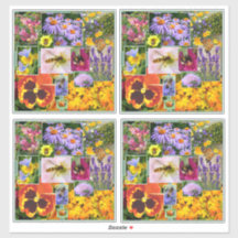 Collage de flores e insectos de verano coloridos